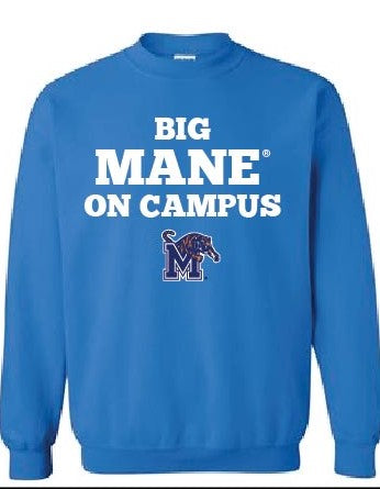 Big MANE® on Campus